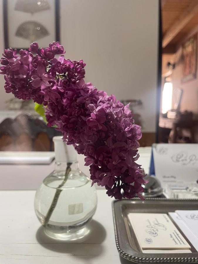 Posada El Museo Astudillo Екстериор снимка